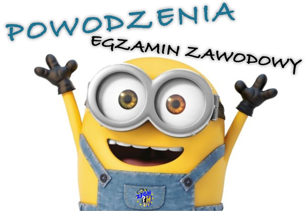 egzamin zawodowy